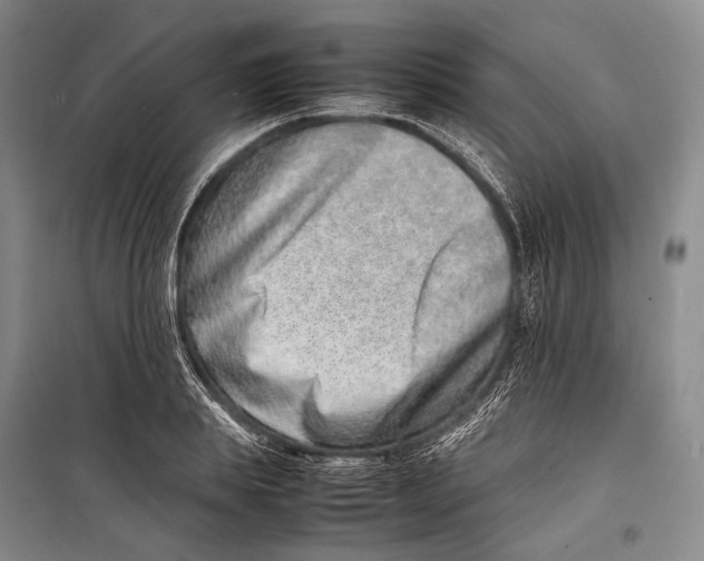 X0000098220839200805151315