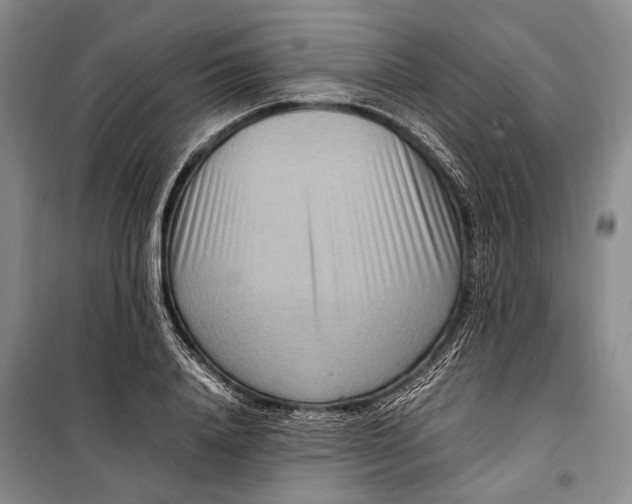 X0000098220840200805151315