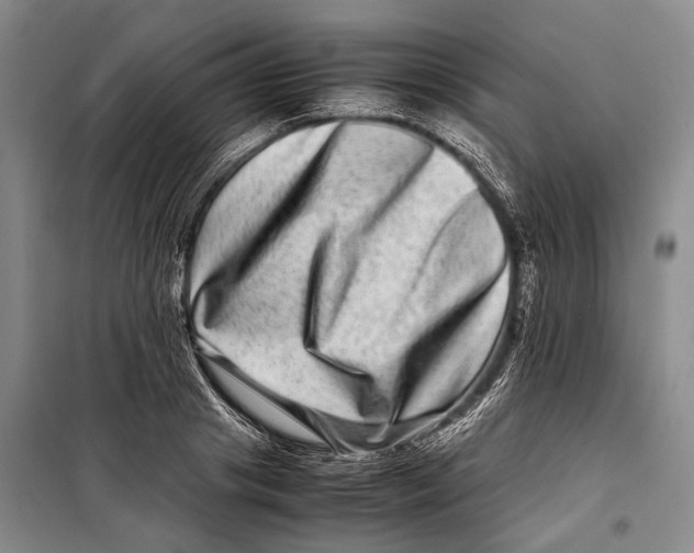 X0000098220841200805151315