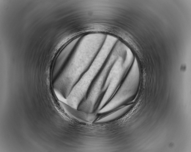 X0000098220842200805151315