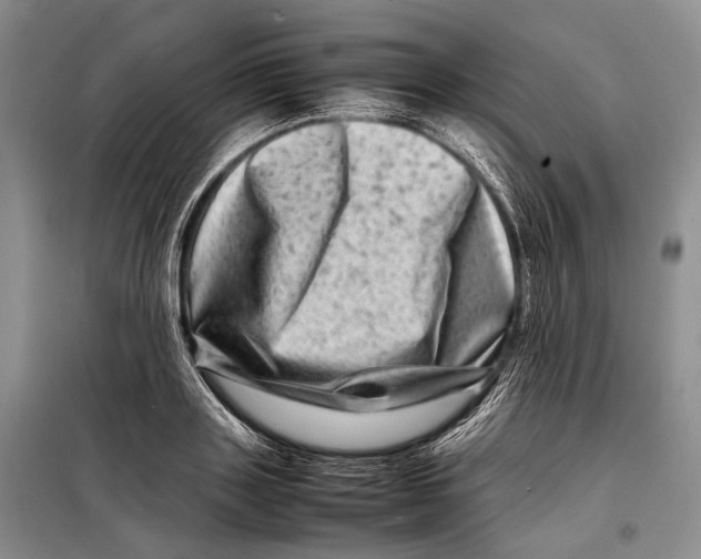 X0000098220843200805151315