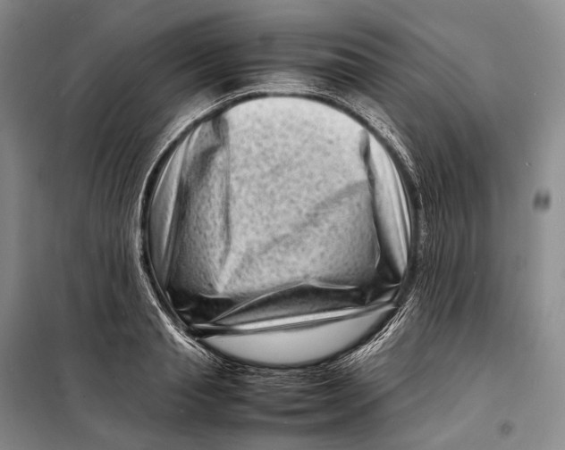 X0000098220845200805151315