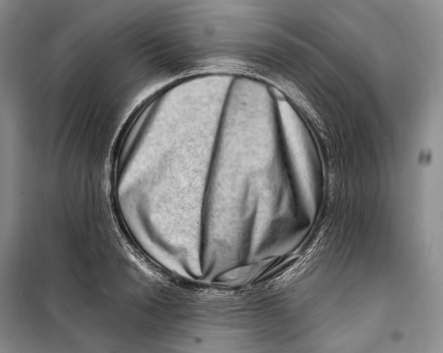 X0000098220846200805151315