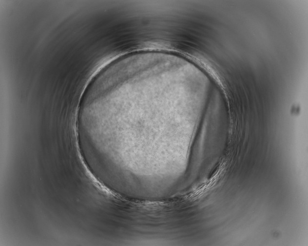 X0000098220847200805151315