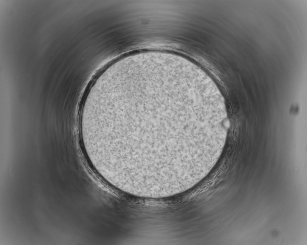 X0000098220848200805151315