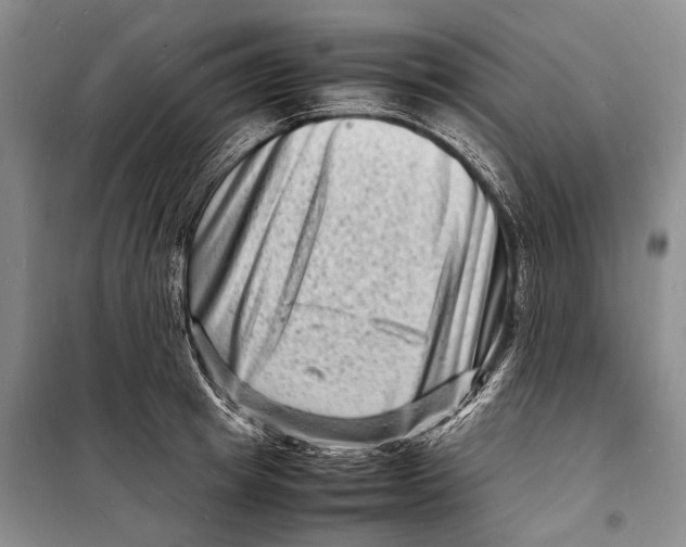 X0000098220849200805151315