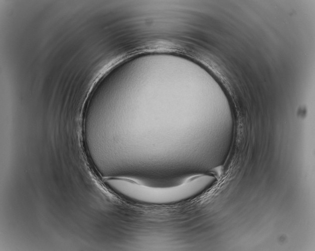 X0000098220850200805151315