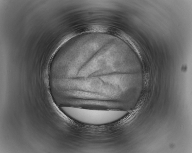 X0000098220851200805151315