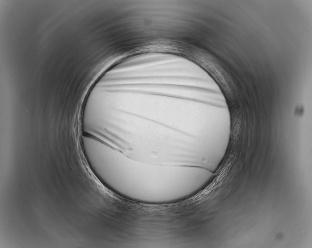 X0000098220852200805151315