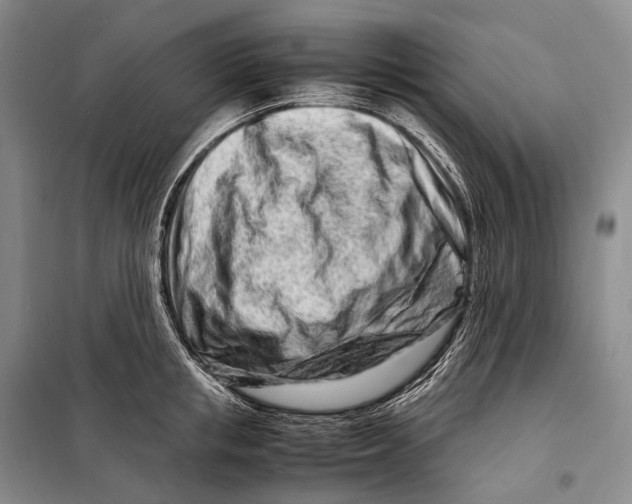 X0000098220853200805151315