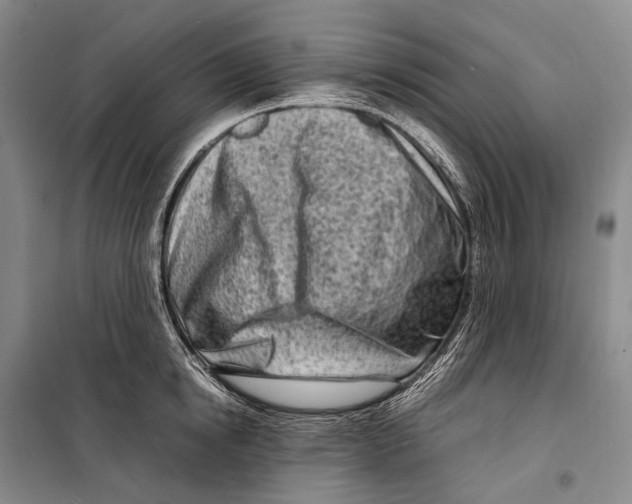 X0000098220854200805151315