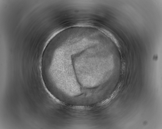 X0000098220855200805151315