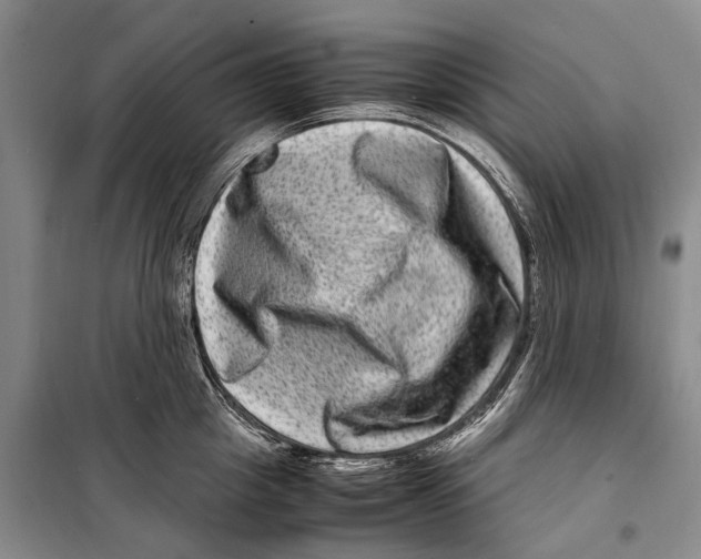 X0000098220857200805151315