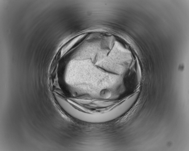 X0000098220858200805151315