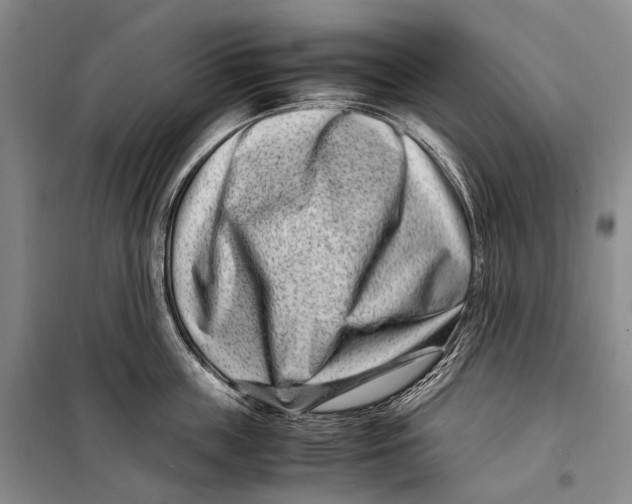 X0000098220859200805151315