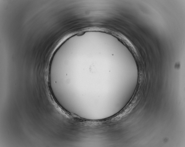 X0000098220860200805151316