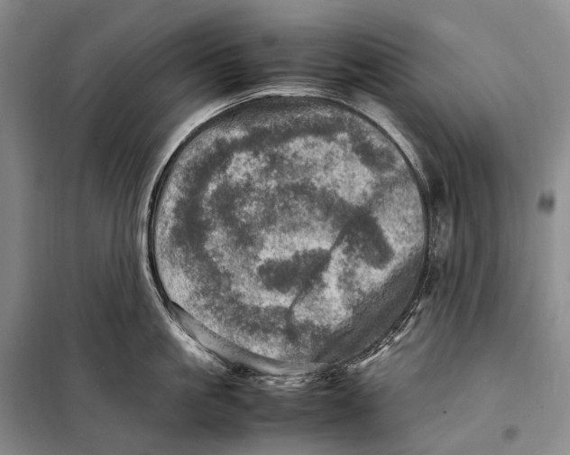 X0000098220861200805151316