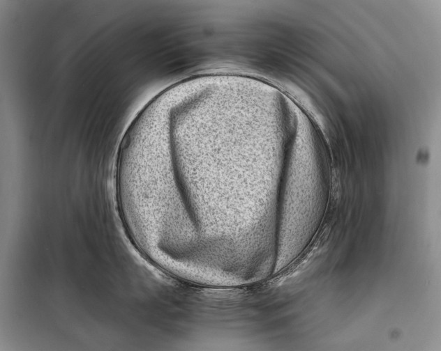 X0000098220863200805151316