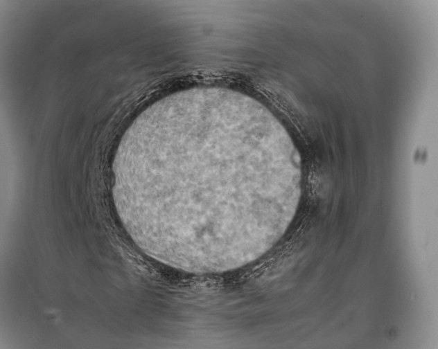 X0000098220865200805151315