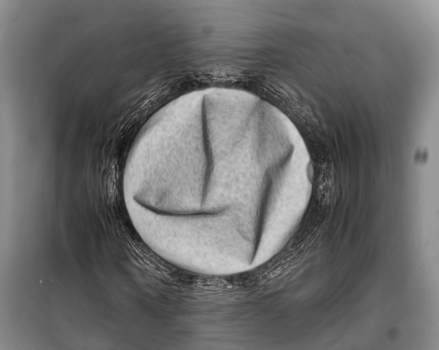 X0000098220866200805151315