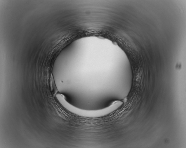 X0000098220868200805151315