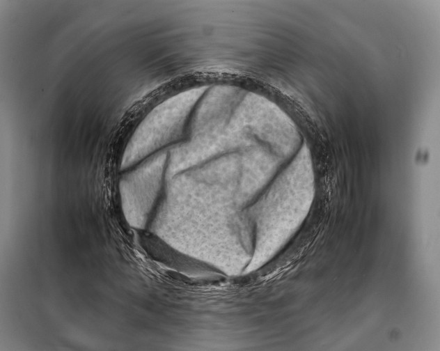 X0000098220870200805151315