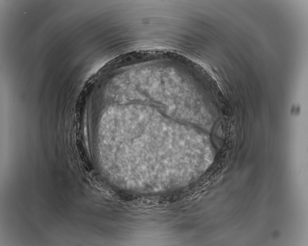 X0000098220871200805151315