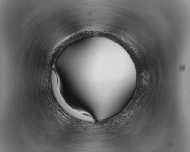 X0000098220872200805151315