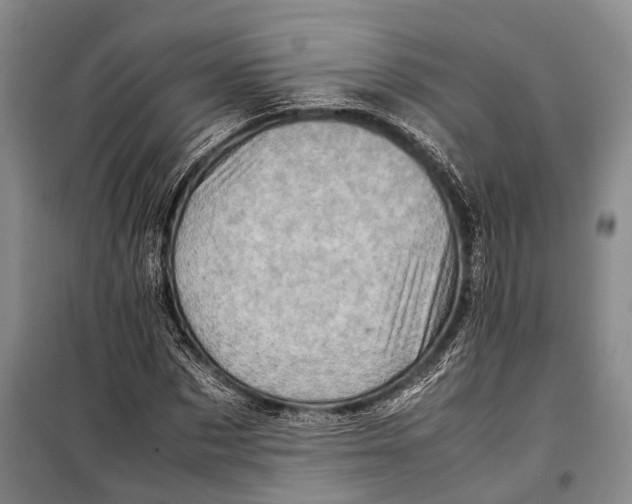 X0000098220873200805151315