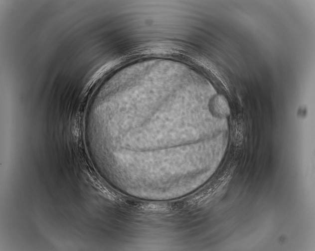 X0000098220874200805151315