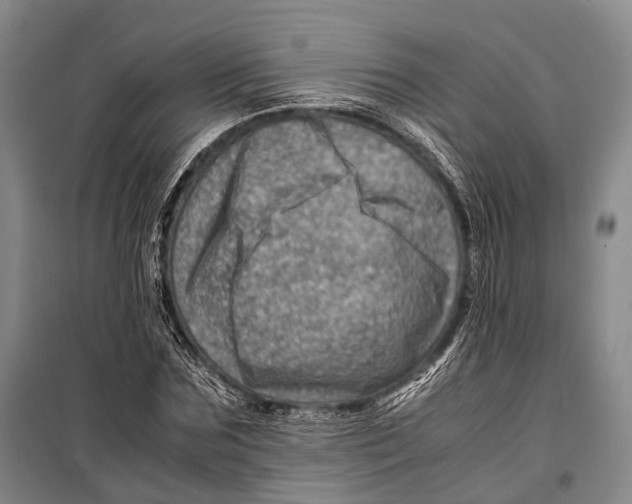 X0000098220875200805151315