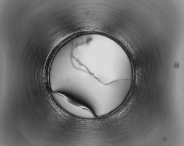 X0000098220876200805151315