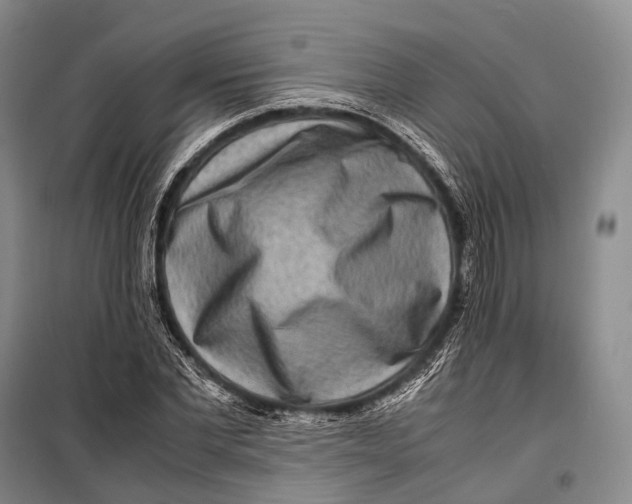 X0000098220877200805151315