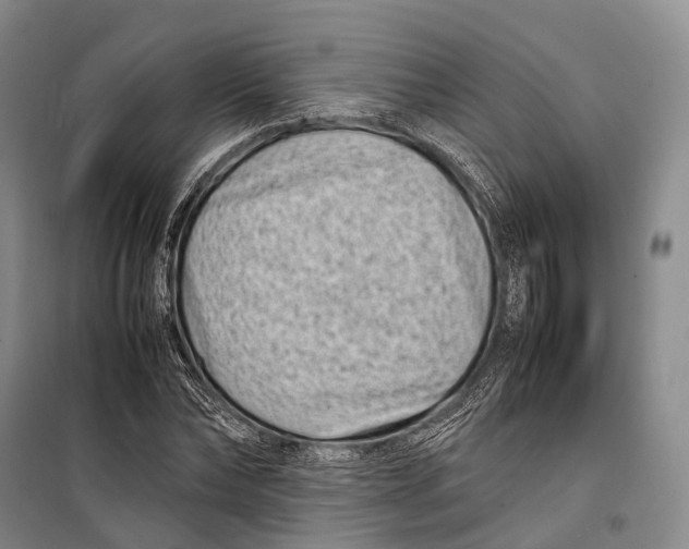 X0000098220878200805151315