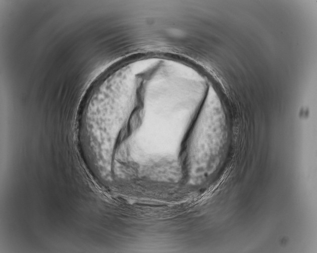 X0000098220879200805151315