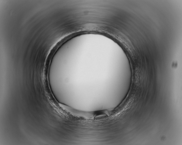 X0000098220880200805151315