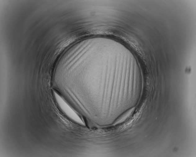 X0000098220881200805151315