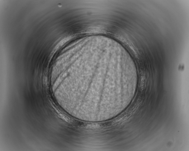 X0000098220882200805151315