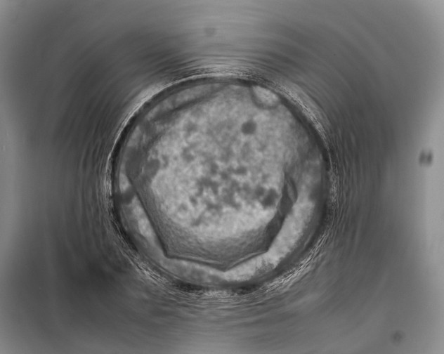 X0000098220883200805151315