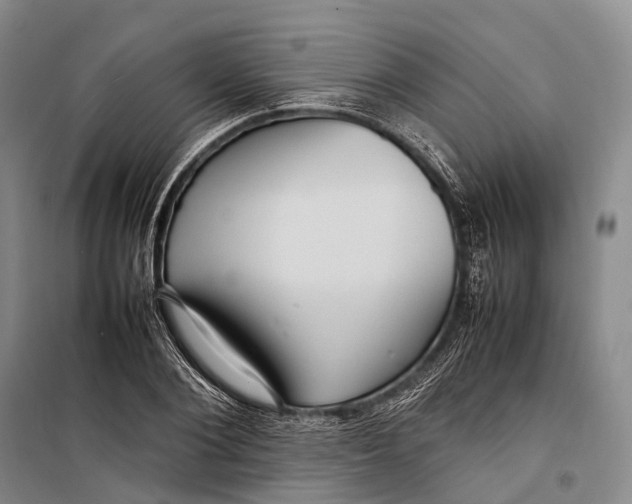 X0000098220884200805151315