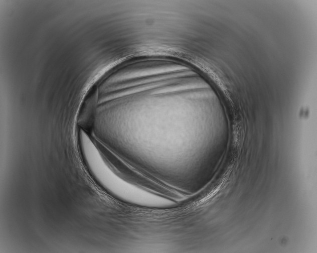 X0000098220885200805151315