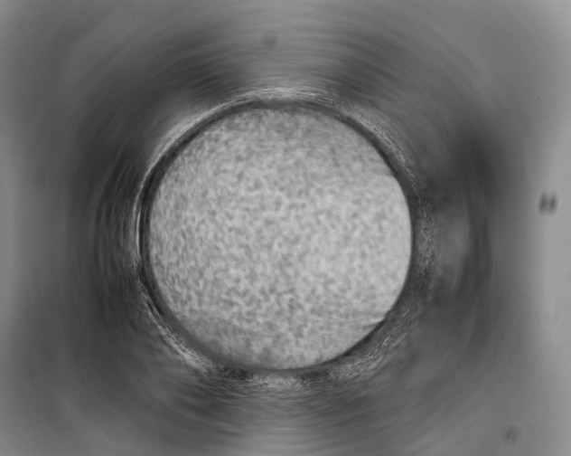 X0000098220886200805151315