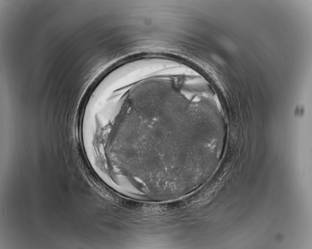 X0000098220887200805151315