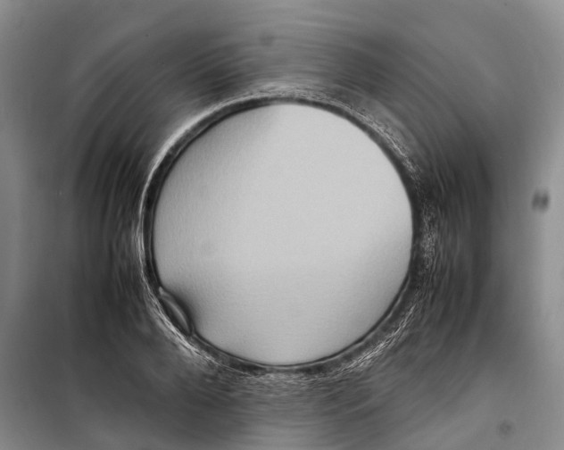 X0000098220888200805151315