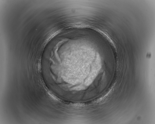 X0000098220889200805151315