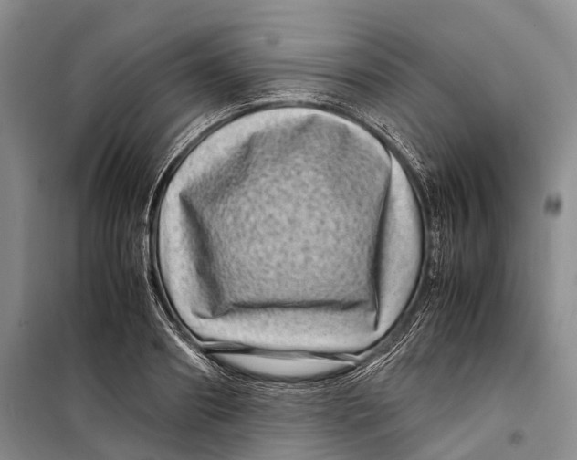 X0000098220890200805151315