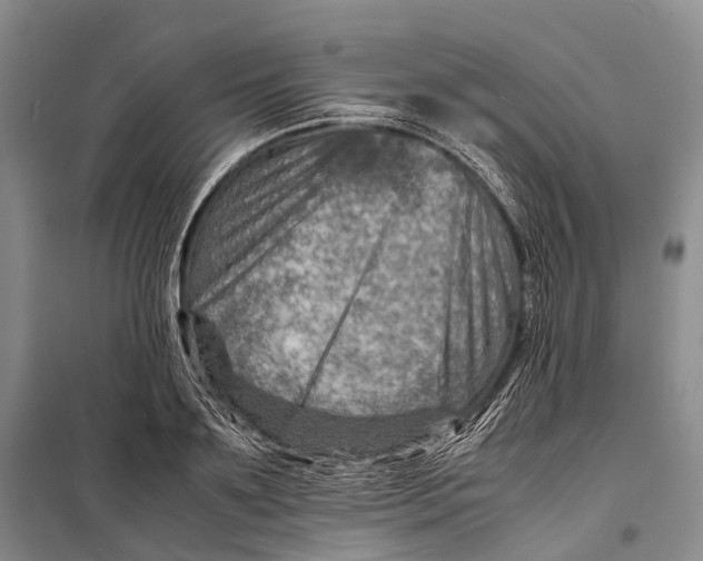 X0000098220891200805151315