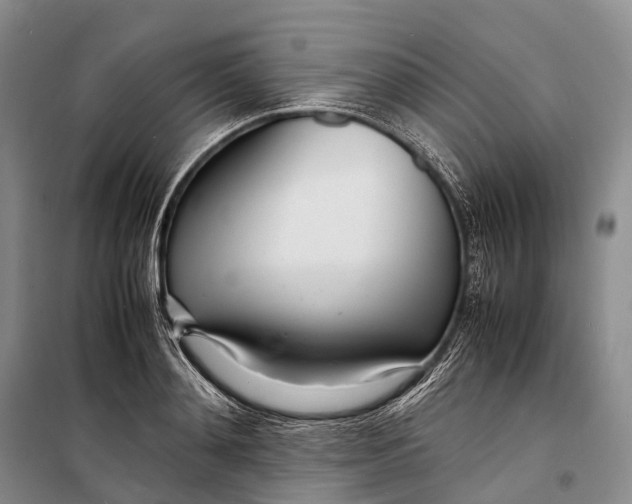 X0000098220892200805151314