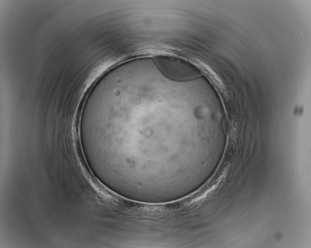 X0000098220893200805151314