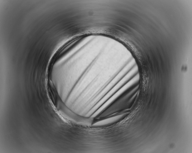 X0000098220894200805151314